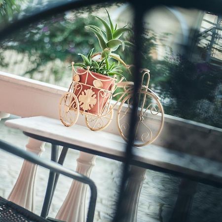 Zante Nest Studios & Apartments Аликанас Экстерьер фото