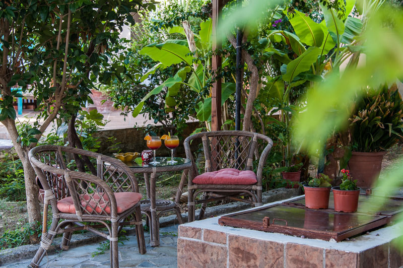Zante Nest Studios & Apartments Аликанас Экстерьер фото